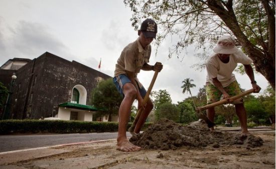 工人在缅甸仰光大学修复道旁小路 工人在缅甸仰光大学修复道旁小路